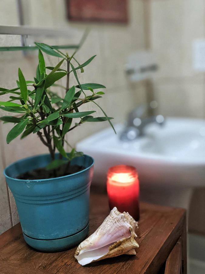 Seaside Inn Roatan 西湾 外观 照片