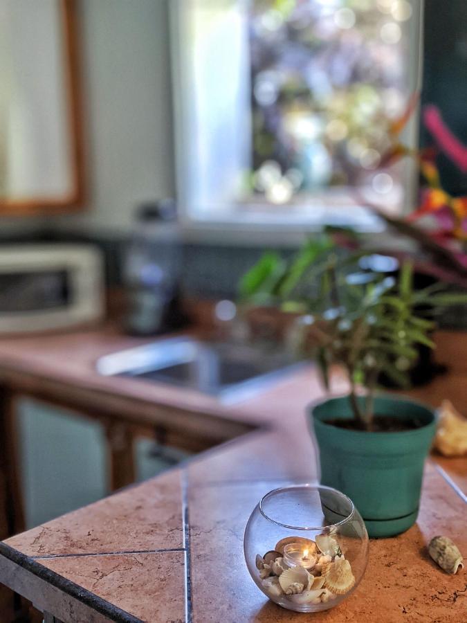 Seaside Inn Roatan 西湾 外观 照片
